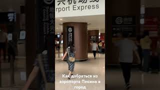 Как добраться из аэропорта Пекин Дасин (Beijing Daxing) в город на метро (аэроэкспресс)