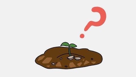 Brain out 2 level 3 how to make crops grow? Walkthrough solution