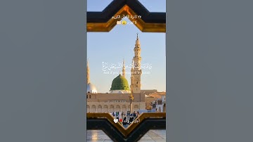 تلاوة خاشعة و جميلة للشيخ ماهر المعيقلي 🤲🏻💚 #القرآن_الكريم #السعودية #الله #المغرب