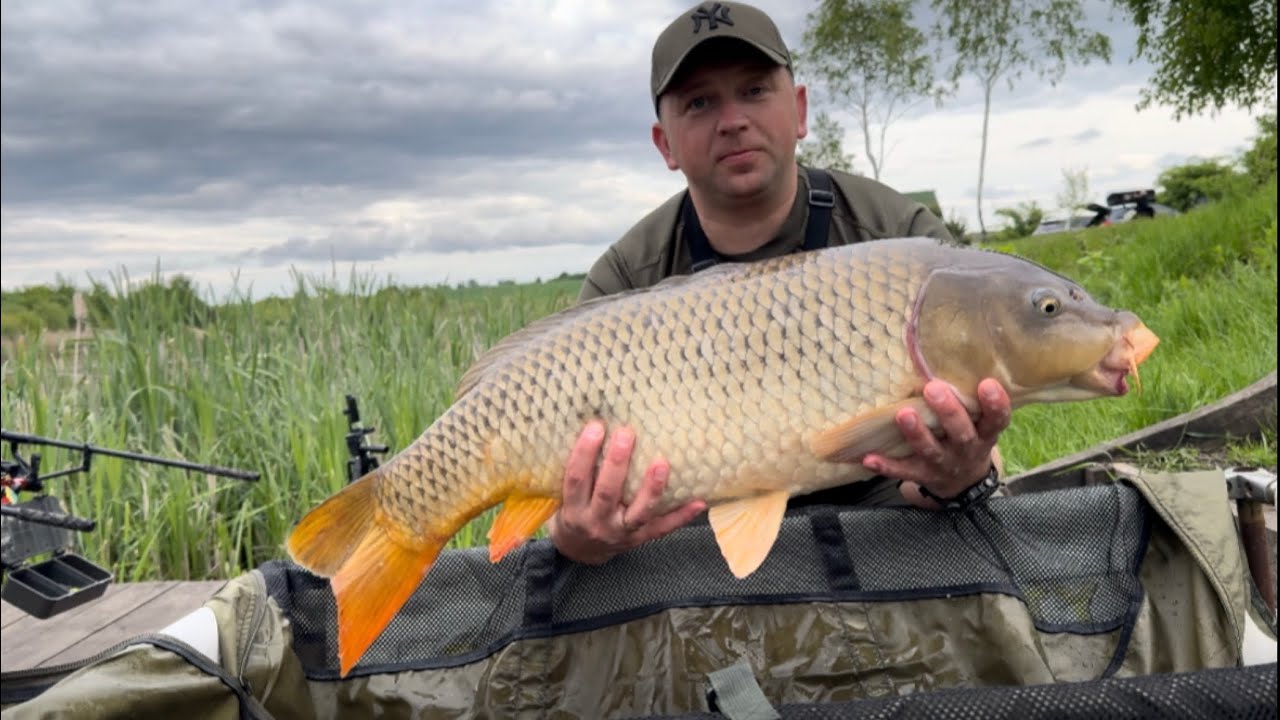 Трофейна Долина | Виїзд для відпочинку і рибалки! 16.05.2025