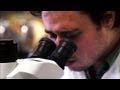 Trace Evidence Collection Techniques
