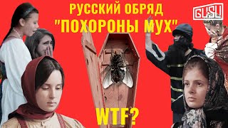 Зачем славяне хоронили мух?