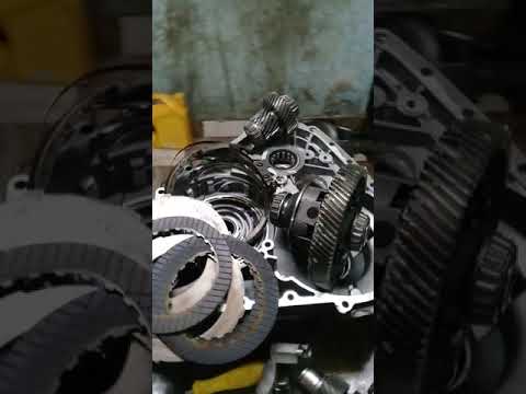 عيوب فتيس جاك عماد فسيخ