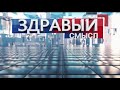 Здравый смысл 08.09.2020