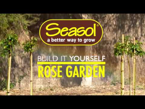 Video: How To Create A Rose Garden