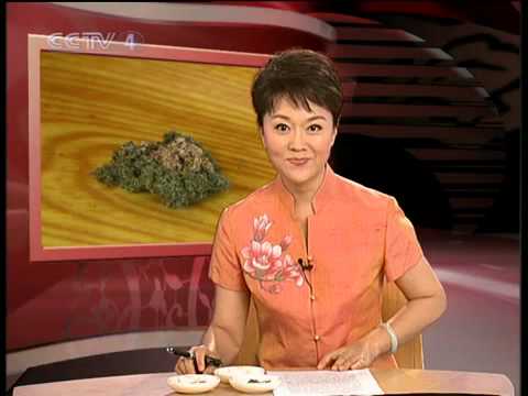 中华医药2010年 第28期 耳聪目明'艾'中求