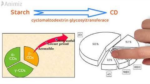 Cyclodextrin in depth