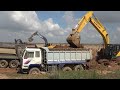 Wonderful Big Group Of Excavators Equipment with Powerful Digging Dirt Loading on Truck