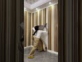 Interior wall renovation must-have: Waterproof and moisture-proof self-adhesive wall stickers