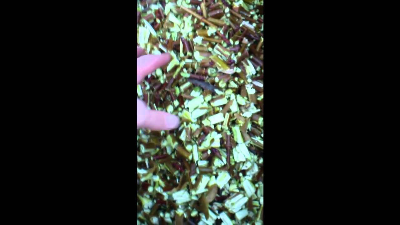 Quiet Garden Shredder Review