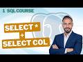 01 - How to recall all data from Database using" Select * or Select col "| SQL Course| Data by Mousa