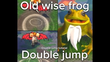 How to do the old wise frogs quest and double jump! | Elemental Dungeons Tutorial |