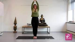 Yoga   Oefening uitleg van houding 1 De Berghouding