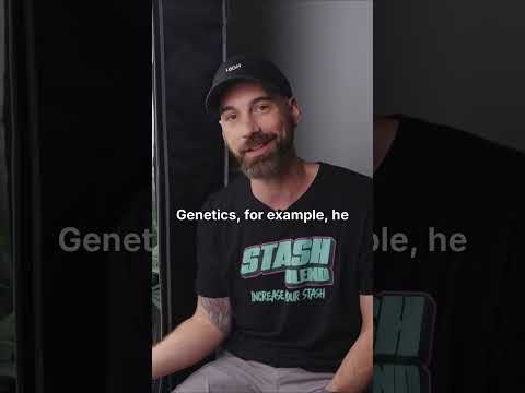 How Often to Spray STS to Reverse a Plant