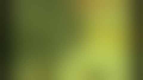 GoronCity Ridicuclips: Episode 1 Zombie Holocaust Instructional Video - GoronCity.net (2009)