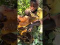 Ancient Hadzabe Hunters Find Wild Honey and Track Game in Tanzania