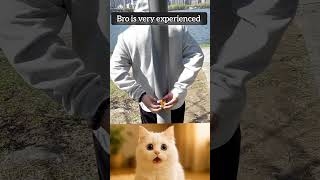 Cats Shocked Reaction To Blindfolded Rubiks Cube Solve