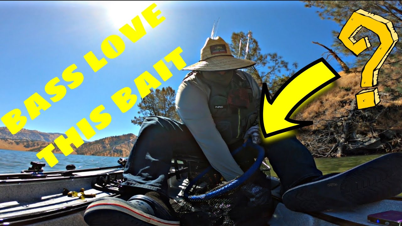 Fishing Pine Flat Lake California YouTube