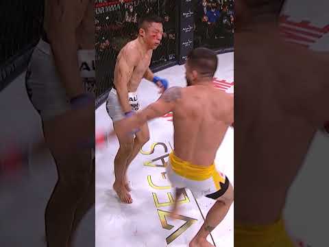 أي ضربة قاضية لسيرجيو بيتيس كانت الأفضل ضد ماغوميدوف أم هوريغوتشي   