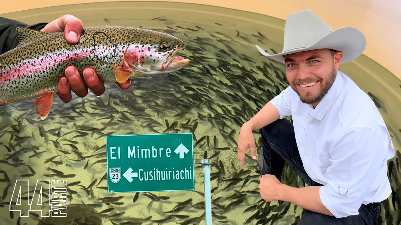 En Carichi, Chihuahua se encuentra uno de los criaderos de trucha más grandes de América