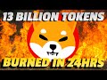 Let the BURN begin! | Shiba Burn Analysis