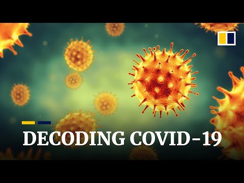 Coronavirus: Decoding Covid-19