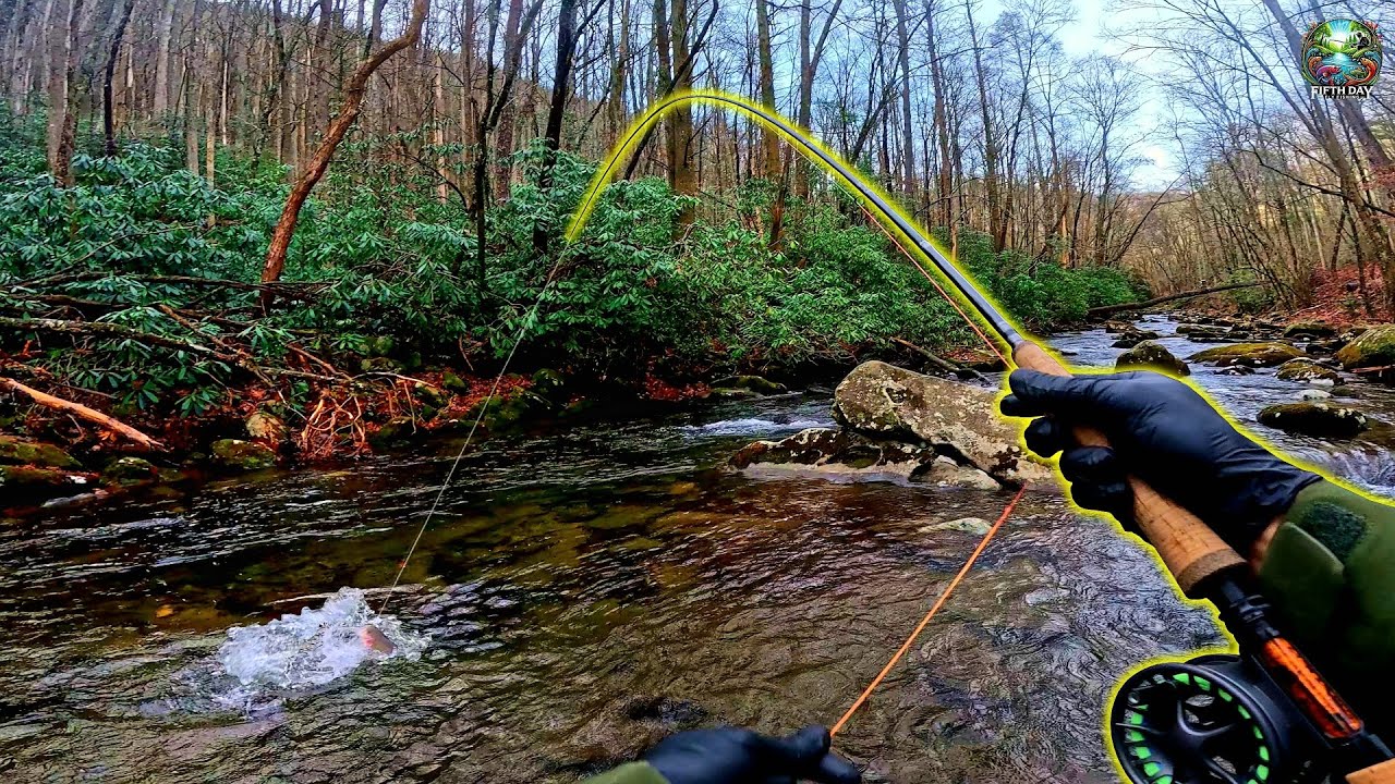 Big Trout Were STACKED in This One Spot! (NEW PB!!)