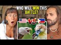 PHILIPPINE EAGLE vs AMERICAN BALD EAGLE! (which is the STRONGEST!?)