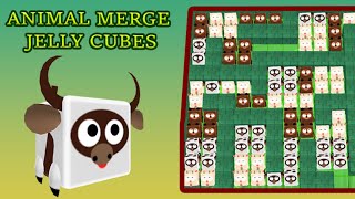 Animal Merge Jelly Cubes Android Gameplay screenshot 2