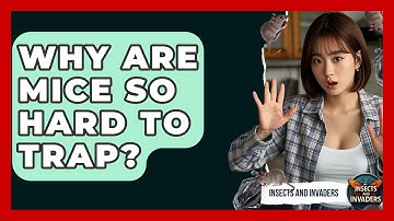 Why Are Mice So Hard To Trap? - Insects and Invaders