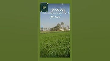 تلاوةمن سورة الفتح #اللهم_نسألك_العفو_والعافية #اكسبلور #تيك_توك #duet #لايك #ترند #صباح_الخير