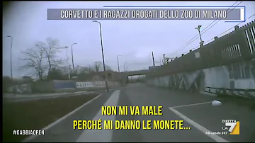 Quanti binari ha la stazione di Rogoredo?