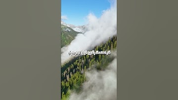 سورة  البقرة الآيتان 256 و 257 للقارئ ياسر الدوسري #quran