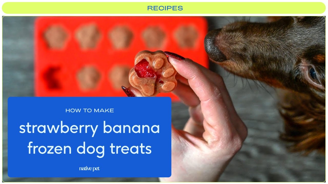 this is my go-to dog treat recipe! 🐶🦴 1 squishy banana 🍌 1/2