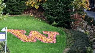 Time Lapse - Fall Leaves