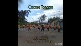 senam kreasi cocote Tonggo / Ega aerobic / cowor butuh sawangan