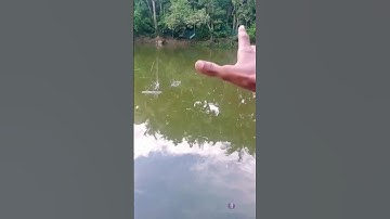 Reverse video 🥶🤯🥵#shorts#ytshorts#viralshorts@MrBeast