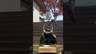 Headshot comp