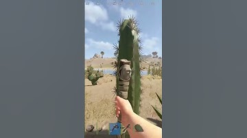 мимо проезжаю!! #rustрейд #rust #funny #foryou #recommended