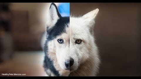 3. Inheritance / polymorphism in Game Maker: Studio 2