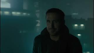 Blade Runner 2049 | Mr Kitty - In your arms