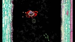 Total Immunity Demo