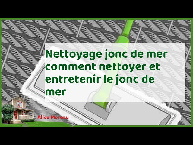 Comment nettoyer les paniers tissés en jonc de mer (ventilation complète  2023)