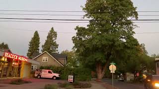 City in the Forest - A Walk in Eugene, Oregon on a Warm October Evening