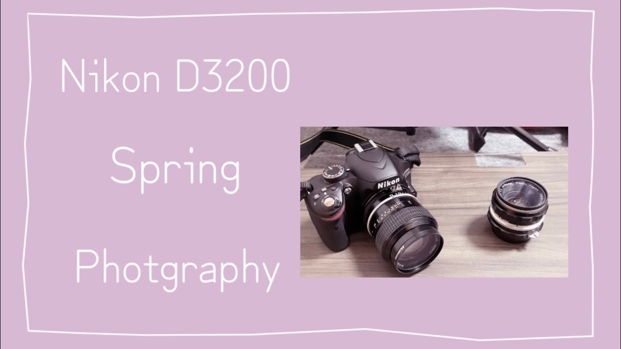 ✨美品✨Nikon D3200✨シングルレンズ✨桜撮影に✨ニコン maxresdefault.jpg