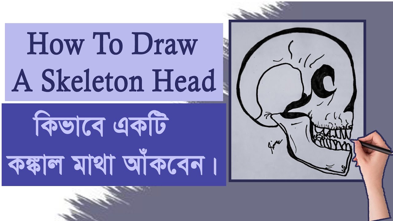How To Draw A Skeleton Head A Skeleton Head Skeleton Head 