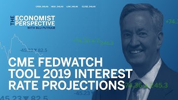 Economist Perspective: CME FedWatch Tool 2019 Interest Rate Projections