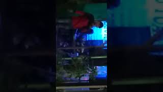 Download Lagu Mate di ho cintaki MP3 Download Lagu Mate di ho cintaki MP3