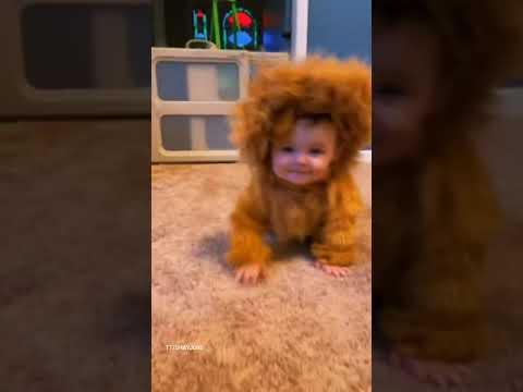 ركبت الخيل الخيل اركبت