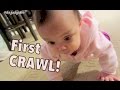 BABY'S FIRST CRAWL! - November 28, 2014 - itsJudysLife Daily Vlog